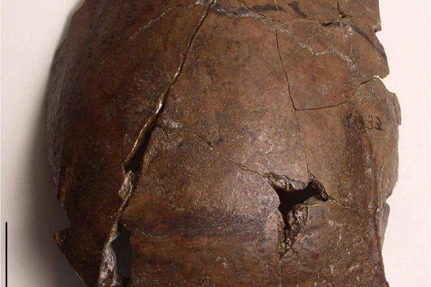 Ученые обнаружили в новейшей Гвинее череп самой древней жертвы цунами