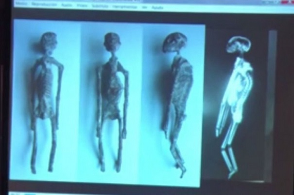 Ученые обнаружили подобные на пришельцев мумии в Перу