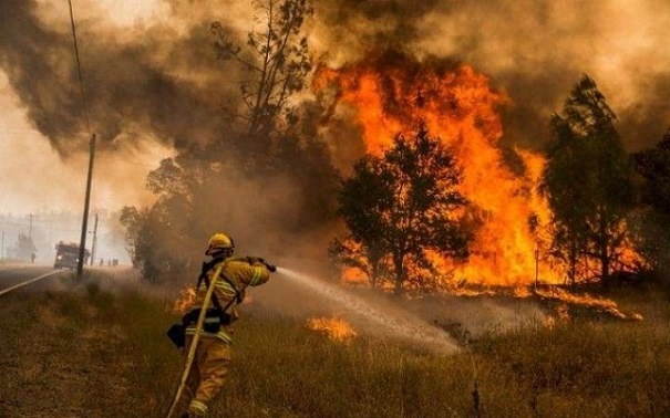 Число погибших от природных пожаров в Калифорнии выросло до 15