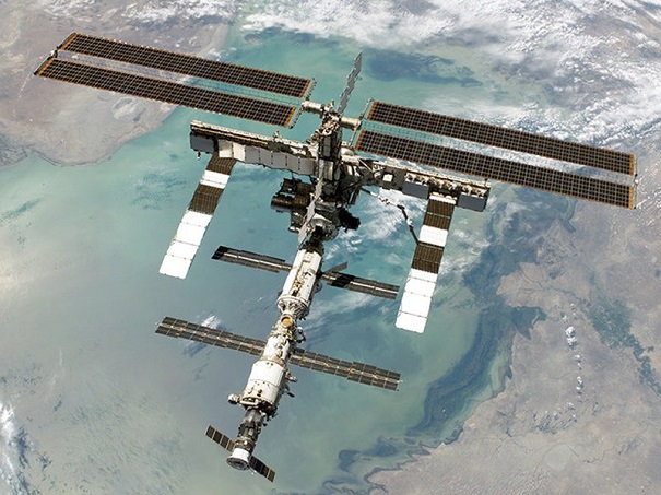 Русские ученые отправят на МКС мух и червей для тестирования искусственной гравитации
