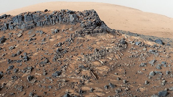 Ученые из ОАЭ планируют высадить на Марсе клубнику и помидоры