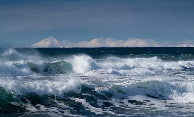 В глубине Тихого океана продолжают звучать загадочные звуки