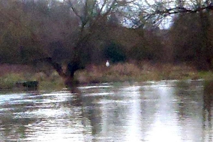 Фотография загадочного белого призрака на берегу реки