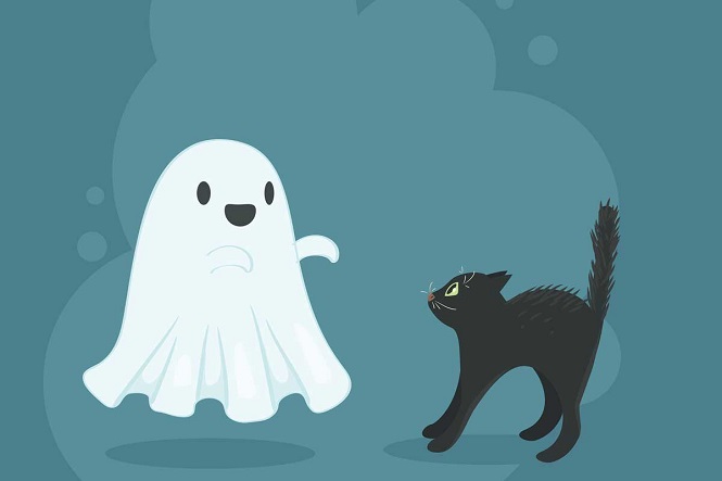 Таинственный видеоролик: привидение гладит кота
