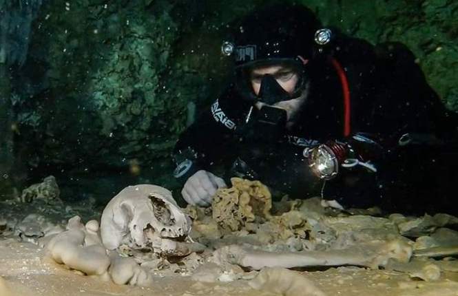 12000-летний череп с микросхемой обнаружили под водой