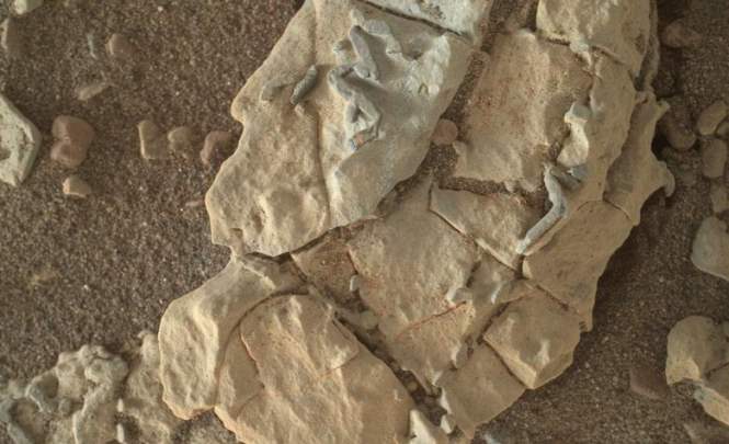 Ученый обвинил НАСА в сокрытии информации о жизни на Марсе
