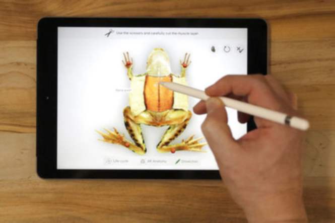 Apple презентовал новый iPad для учебы