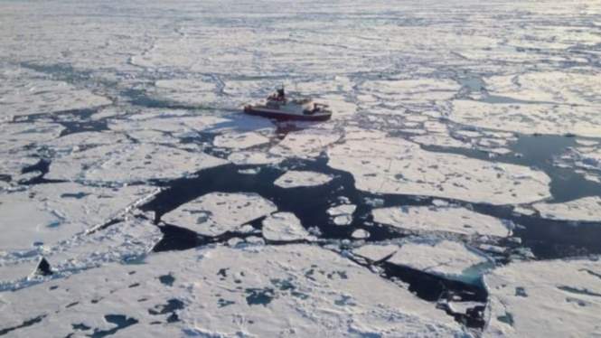 Арктические льды не прекращают поражать ученых