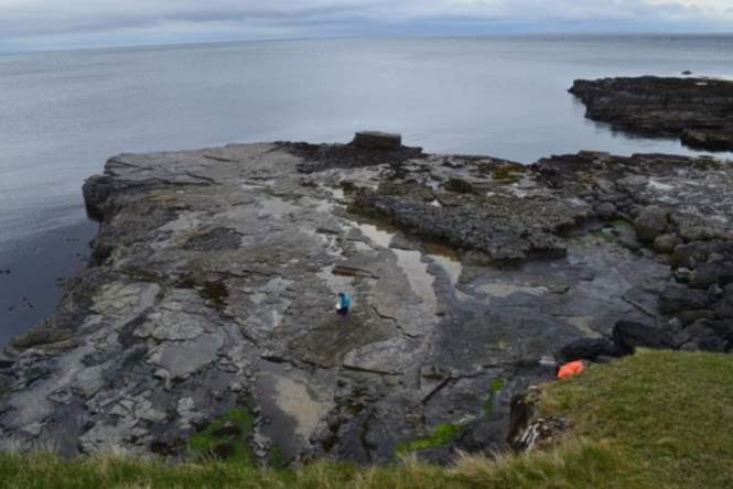 В Шотландии отыскали следы динозавров