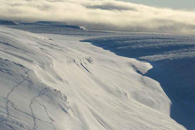 Ученые в замешательстве: в Арктике появились аномальные дыры во льду