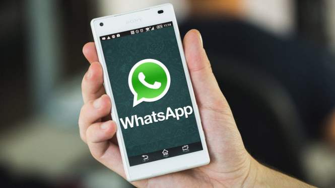 Найдено «замораживающее» смартфон сообщение в WhatsApp