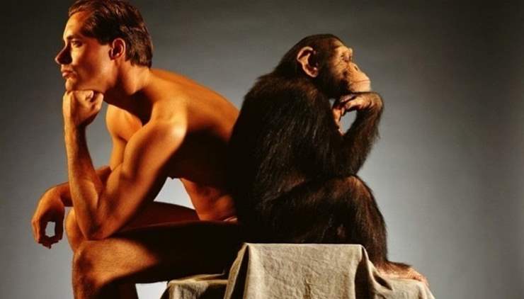 Что превратило обезьяну в человека?