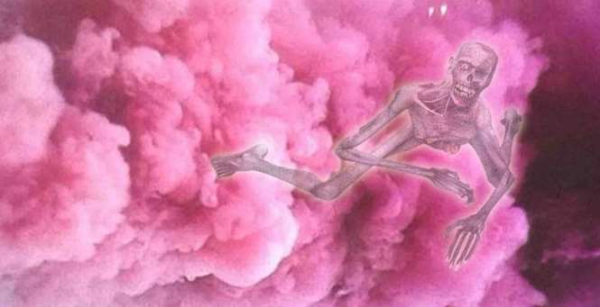 Тайны розового плотоядного тумана