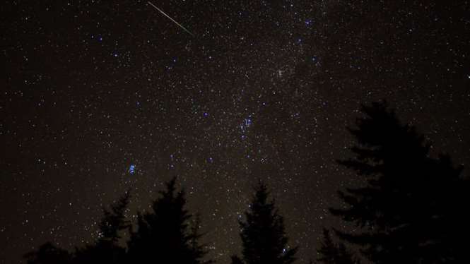 Когда и где можно будет наблюдать метеорный поток в Ленобласти — Звездопад Персеиды