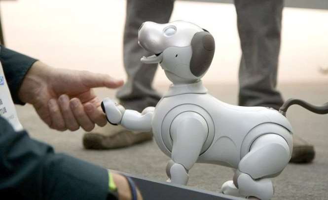Робот щенок из Японии 