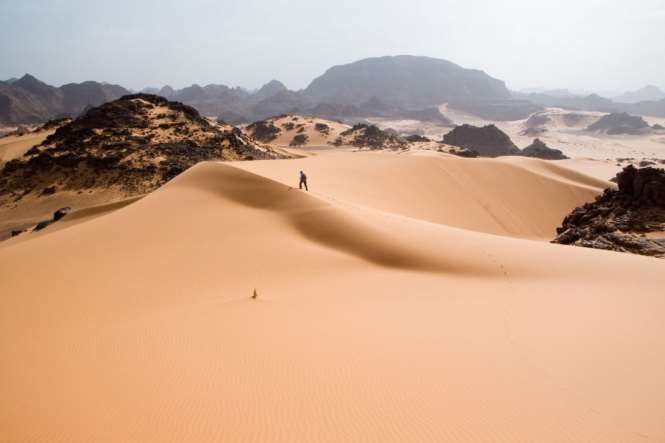 Покрыть Сахару сетью станций по выробатыванию электричества. Ученые отыскали способ сделать пустыню зеленой и плодородной