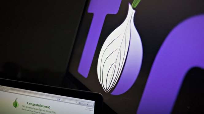 Браузер Tor, обеспечивающий абсолютную анонимность, вышел для андроид