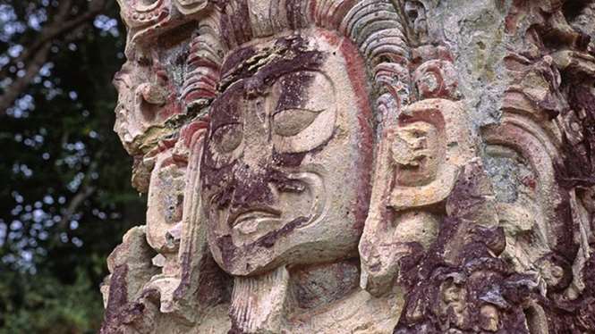 Открытие относительно цивилизации майя