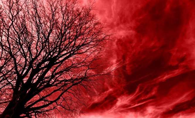Красный туман – невероятно красивое зрелище