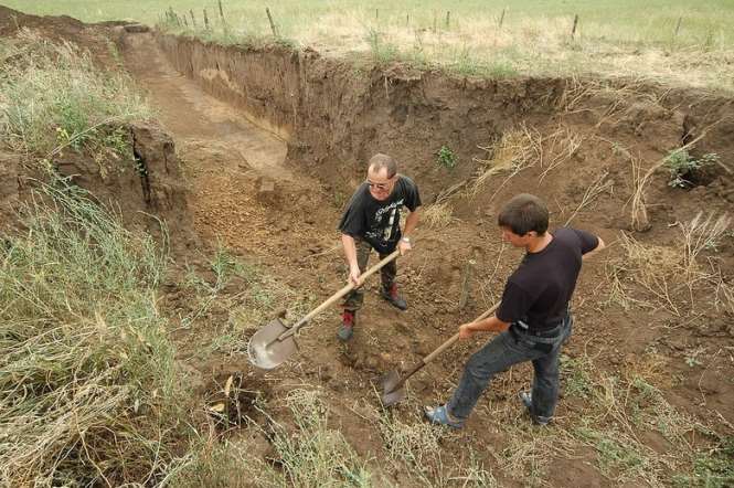 Останки гигантского дицинодонта обнаружены в Польше
