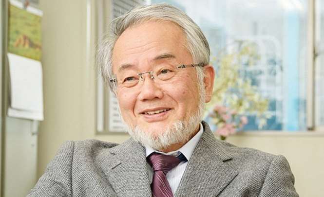 За что дали Нобелевскую премию японскому биологу