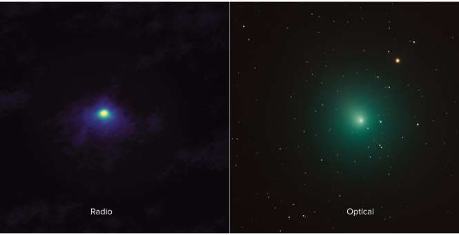 Ярчайшая комета текущего года: NASA поделилось восхитительной фотографией