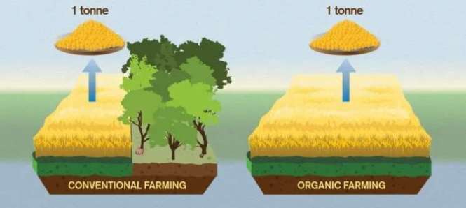 Доказана вредность органического сельского хозяйства