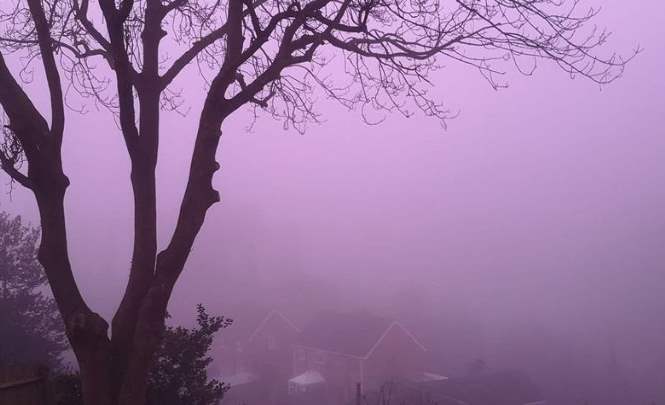 Розовый туман опустился на Британию