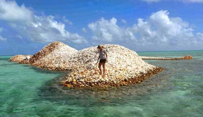 Уникальность карибского Острова раковин