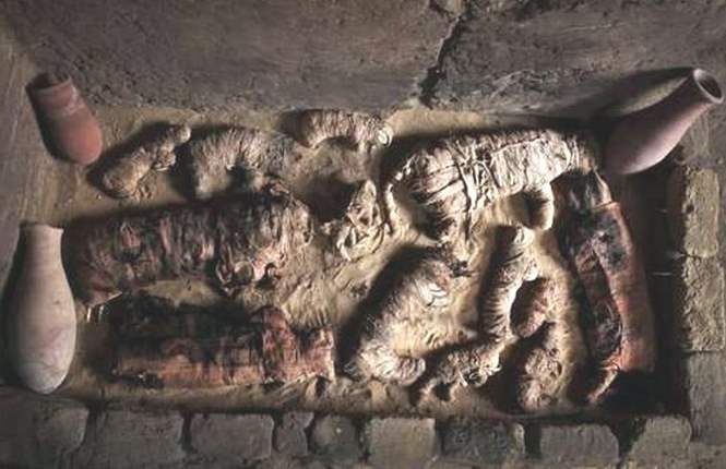 Египетские археологи обнаружили мумию с лицом гуманоида