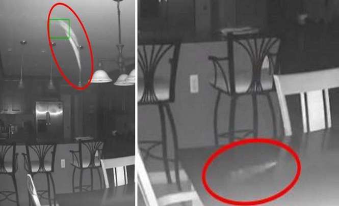 Камера видео наблюдения засняла необычный объект