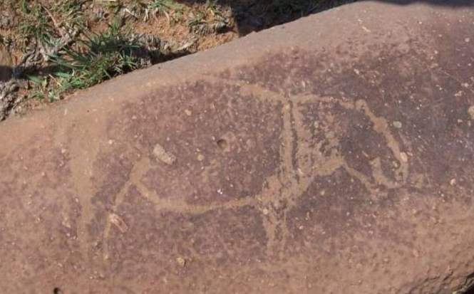 В Южной Африке обнаружены древние петроглифы