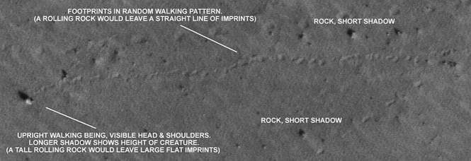 То ли камень, то ли существо, праздно шатающееся по Марсу.
