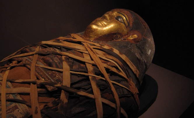 Смертельную болезнь, которая преследует человечество, ученые обнаружили в мумиях
