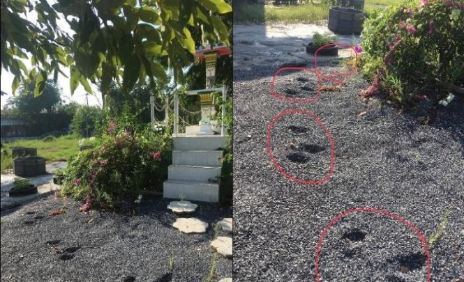 Мужчина обнаружил возле своего дома странные следы