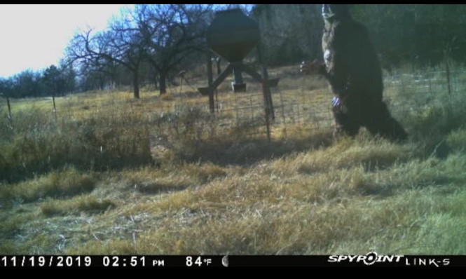 Снежного человека сняла камера наружного наблюдения в Оклахоме.