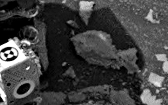 Марсоход Curiosity нашел в пустынях Невады дохлую рыбу.