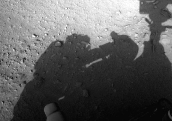 Марсоход Curiosity нашел в пустынях Невады дохлую рыбу.