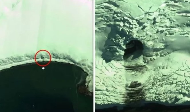 В Антарктиде нашли загадочную дыру во льдах.