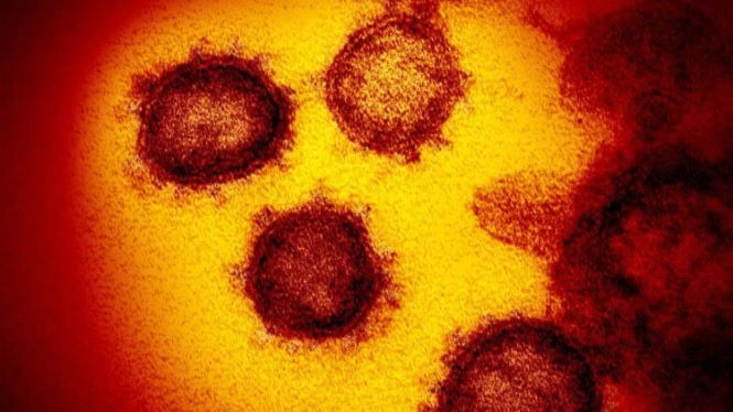 Почему коронавирус – это не грипп? Объясняем на пальцах