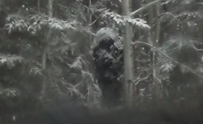 Снежного человека сняли неподалеку от национального парка Банфф
