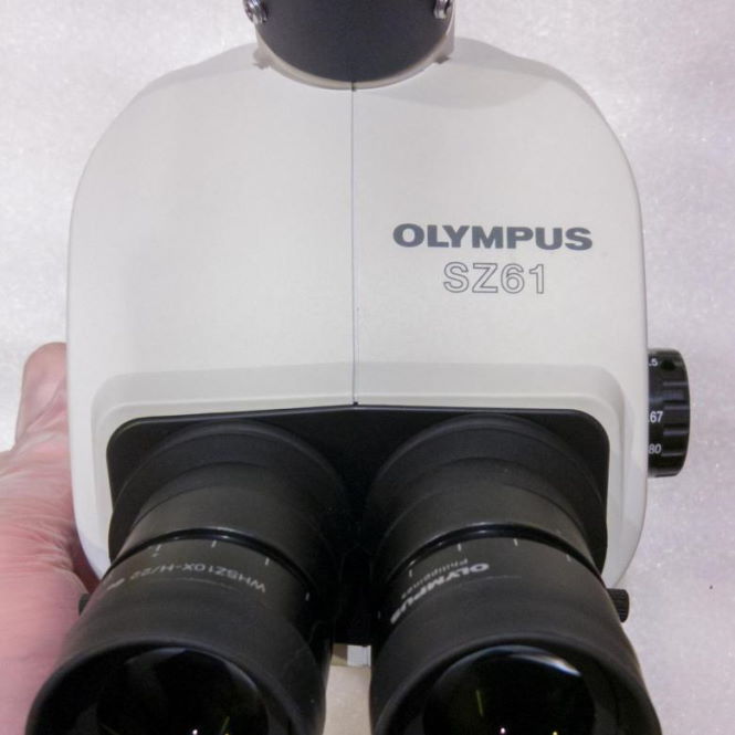 Как выбрать хороший микроскоп для рутинных исследований? Olympus SZ61