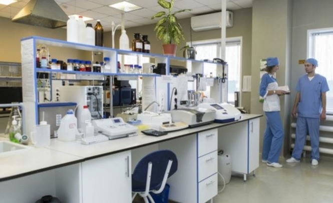Биолаборатории США обвинили в тестировании опасных вирусов