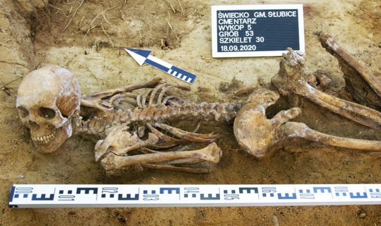Новости археологии: леденящие кровь раскопки обнаружили 20 останков жертв нацистского лагеря |  Наука |  Новости