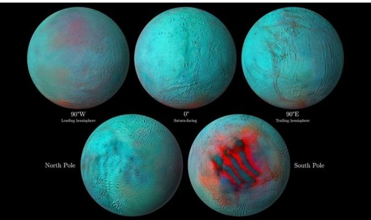 Поиск инопланетной жизни: НАСА обнаружило свежий лед на Энцеладе - «Вероятно, активен не так давно» 