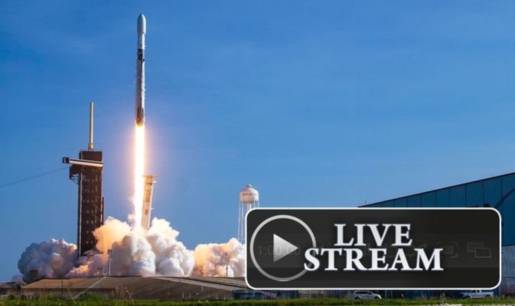 SpaceX запускает прямую трансляцию: как сегодня посмотреть, как SpaceX запускает
