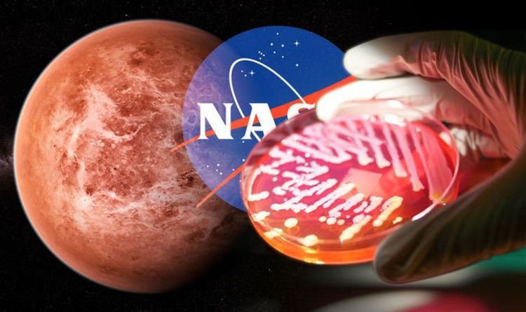 Загадка жизни на Венере: в атмосфере обнаружен «неизвестный химический состав», который сбил с толку ученого НАСА 
