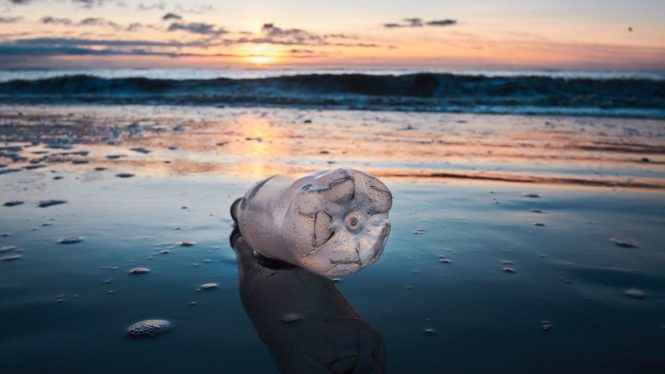 Война с пластиком отвлекает нас от невидимого загрязнения