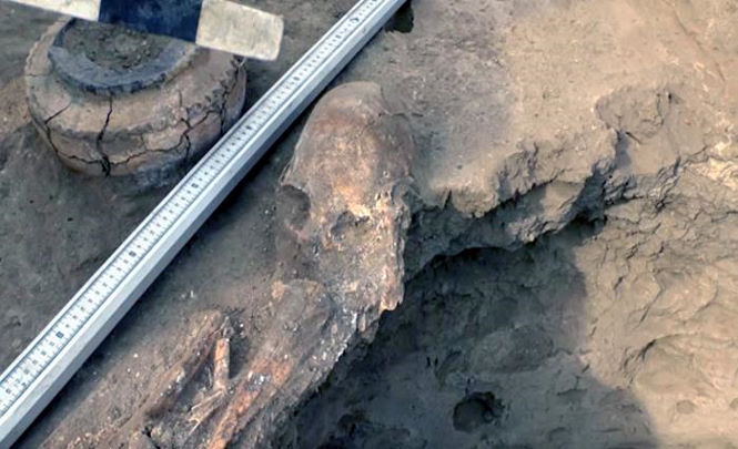 Археологи нашли скелет с аномальным черепом