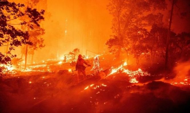 На спутниковых снимках НАСА видны «шрамы», оставленные лесными пожарами в Калифорнии 